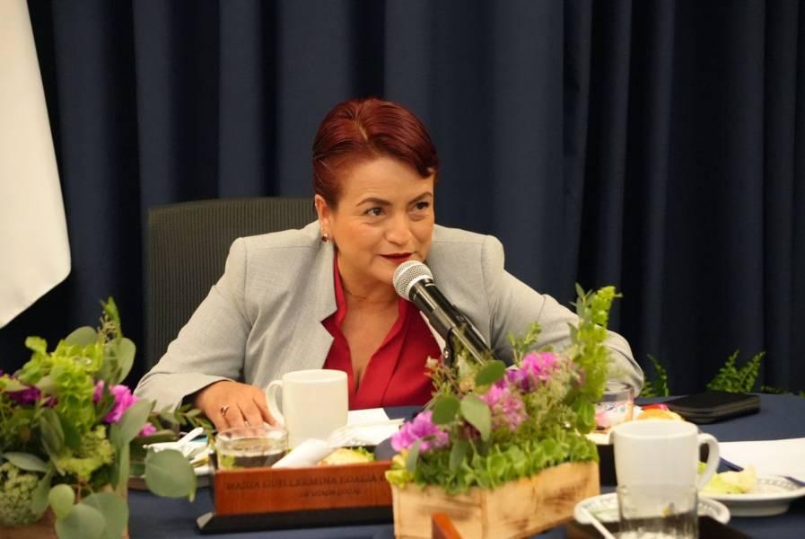 Trascendente aplicar políticas públicas en materia de infraestructura: Guillermina Loaiza 