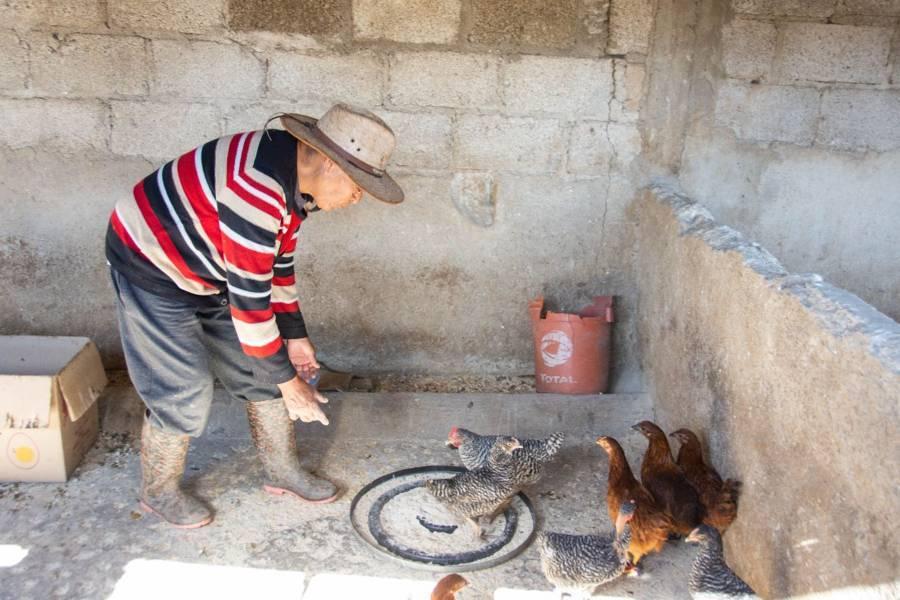Invita Ayuntamiento de Huamantla a adquirir paquetes de especies menores a bajo costo