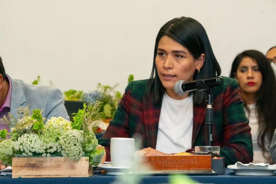 Alerta de género debe dar resultados para las mujeres planteó Diana Torrejón