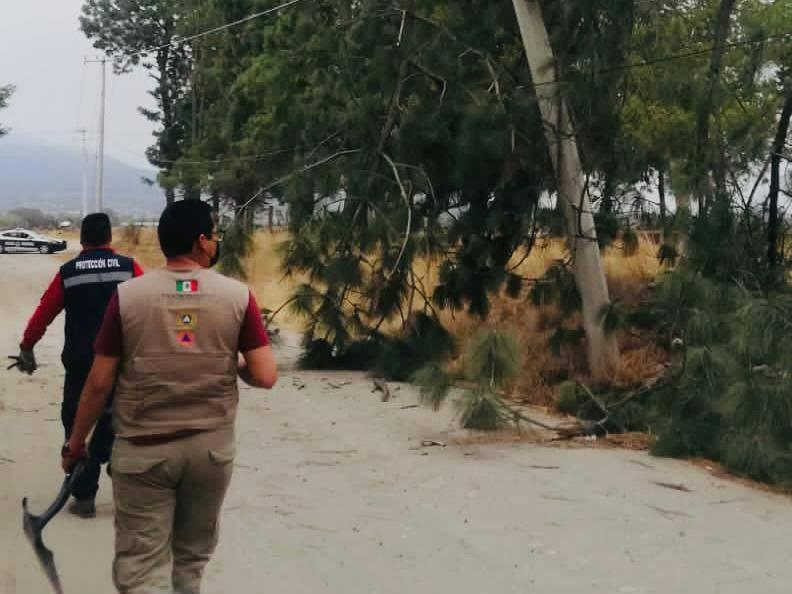 Atiende oportunamente protección civil y seguridad de Huamantla afectaciones por fuertes vientos