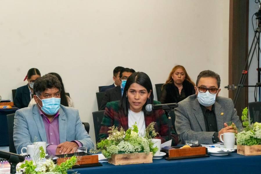 Alerta de género debe dar resultados para las mujeres planteó Diana Torrejón