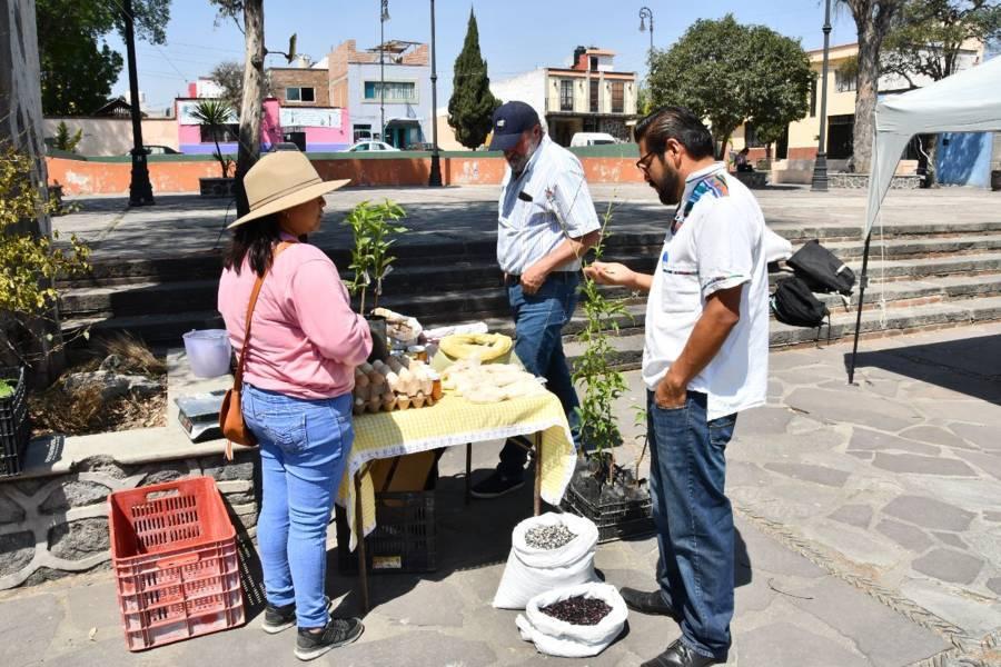 Invita Ayuntamiento de Huamantla a productores a participar en el tianguis de semillas