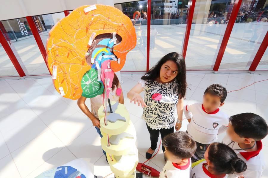 Socializa UATx saberes de las neurociencias
