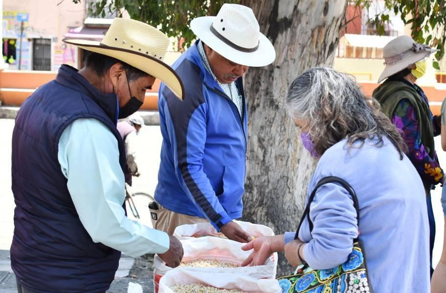 Invita Ayuntamiento de Huamantla a productores a participar en el segundo tianguis de semillas