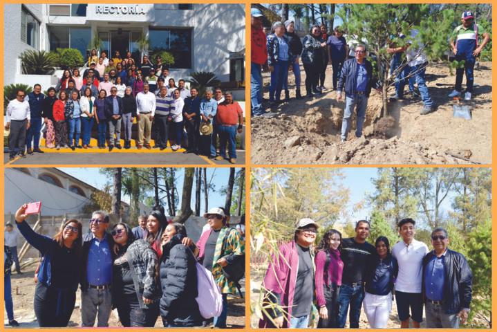 Mantiene UATx reforestación del campus Rectoría