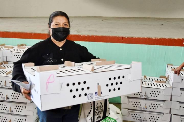 Invita Ayuntamiento de Huamantla a adquirir paquetes de especies menores a bajo costo