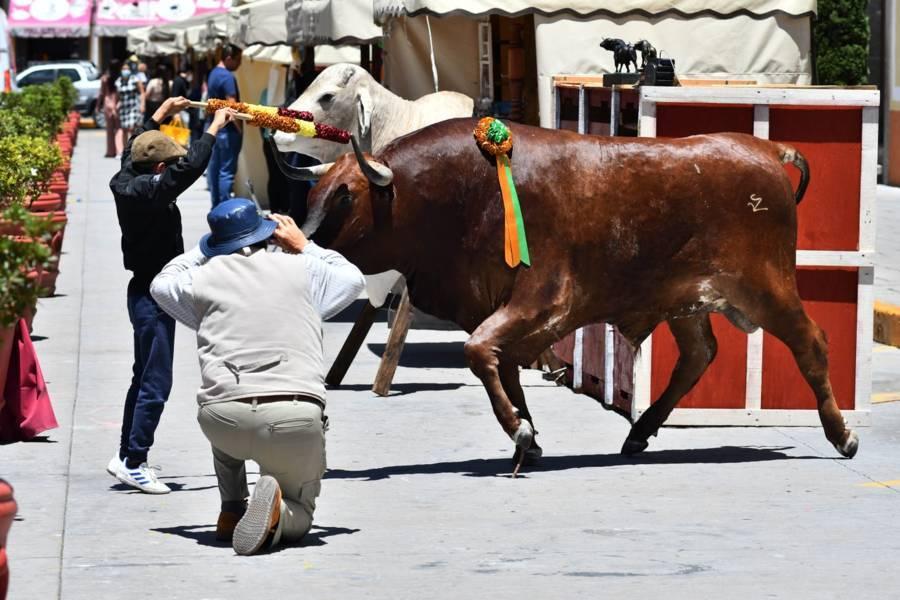 Registra Huamantla un importante número de visitantes durante este fin de semana