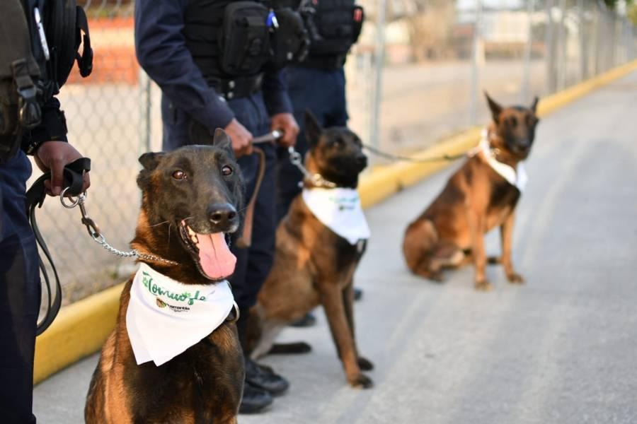 Anuncia Salvador Santos construcción de clínica para perros y gatos en Huamantla