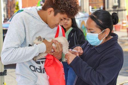 Últimos días de vacunación antirrábica en Huamantla