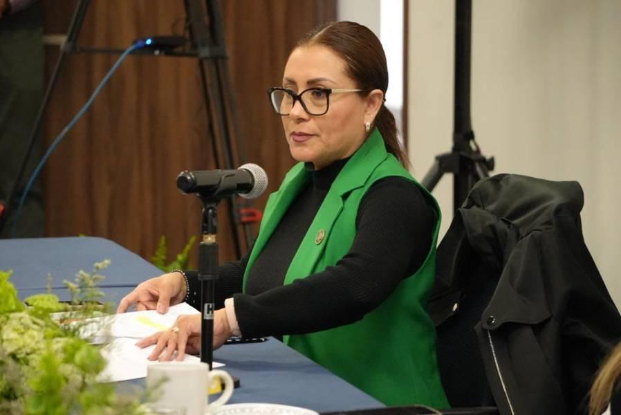 Es necesario fortalecer la difusión de programas de financiamiento: Reyna Flor Báez Lozano