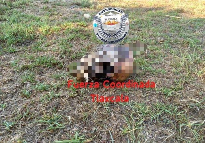 Localizan posible crán3o humano en #Ixtacuixtla