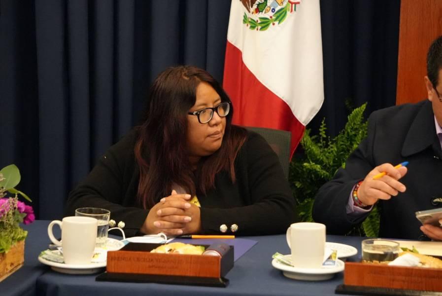 “Tenemos que saber el destino de las aportaciones que llegan al Estado”: Brenda Cecilia Villantes 
