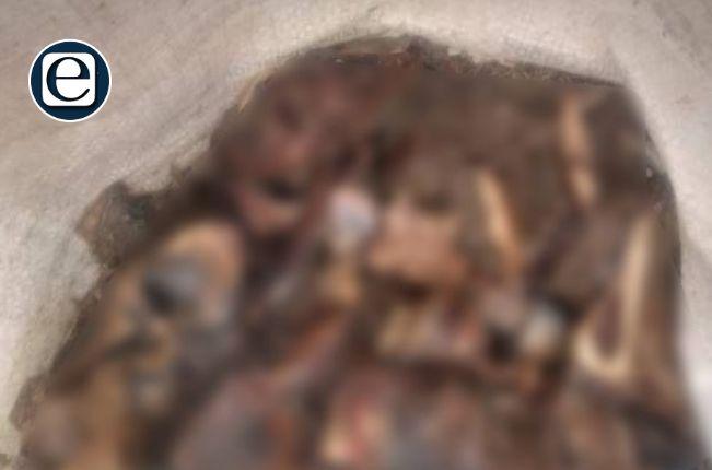 Abandono y animales muertos en el Zoológico del Altiplano