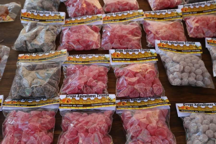 Artesanos ponen a la venta sus productos en la capital 
