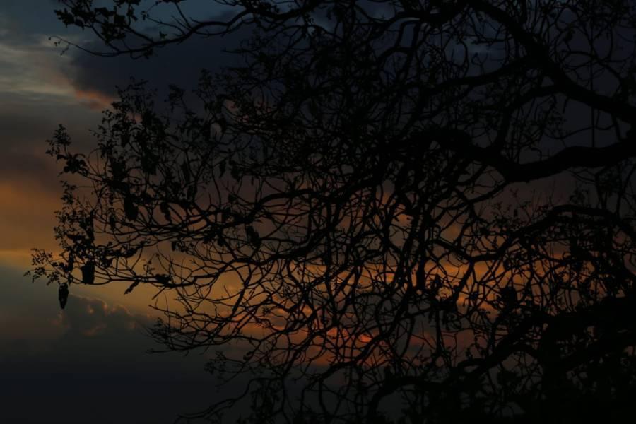 Atardecer en la cima de los cerros de Temetzontla