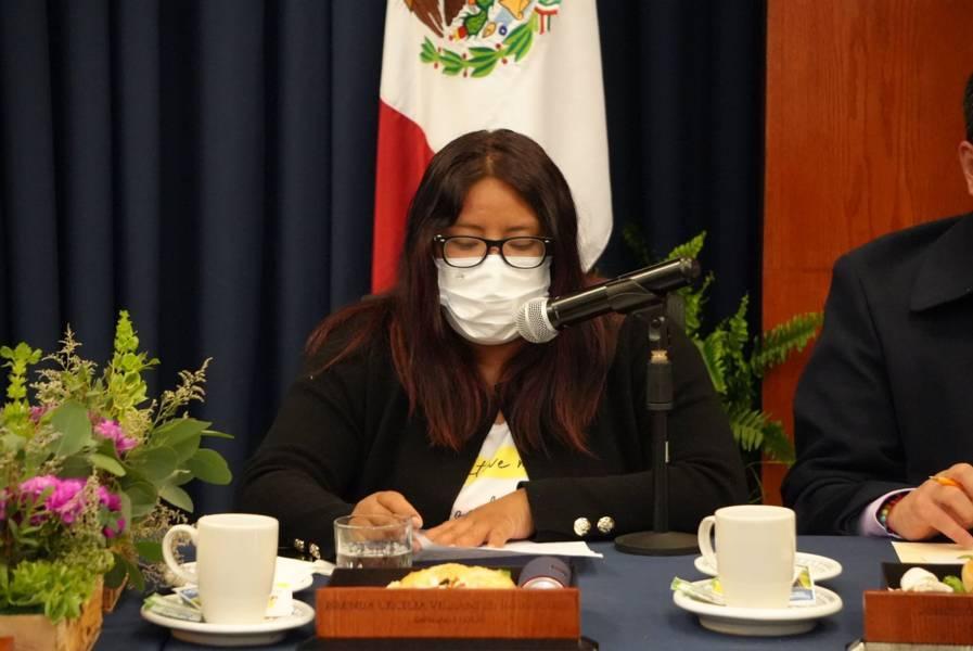 “Tenemos que saber el destino de las aportaciones que llegan al Estado”: Brenda Cecilia Villantes 