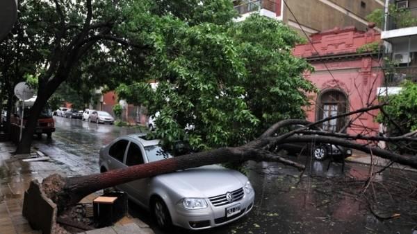 Cubrirán aseguradoras daños causados por los fuertes vientos