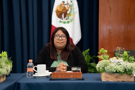 Feminicidios y narcomenudeo temas que preocupan: diputada Villantes