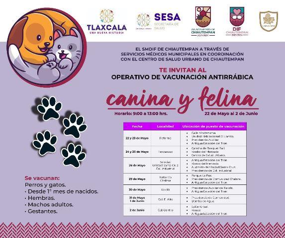 En Chiautempan inicia operativo de vacunación antirrábica felina y canina
