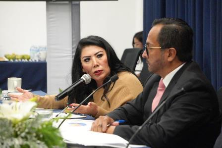 Necesario garantizar profesionalización policial: diputada Ramírez 