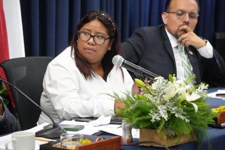 Pide diputada local blindar a Tlaxcala para evitar el narcotráfico