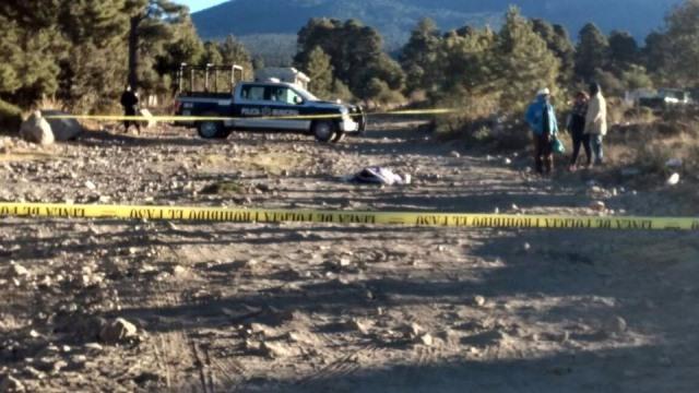 Asesinan elementos de la Gendarmería a un talamontes