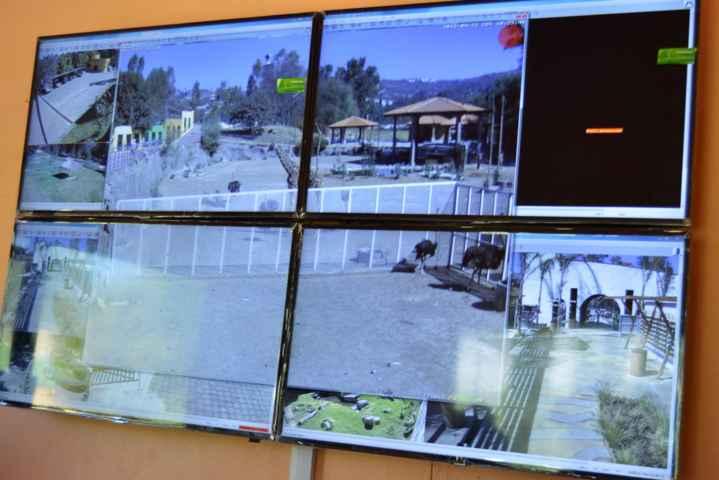 Instala Zoológico del Altiplano sistema de video vigilancia