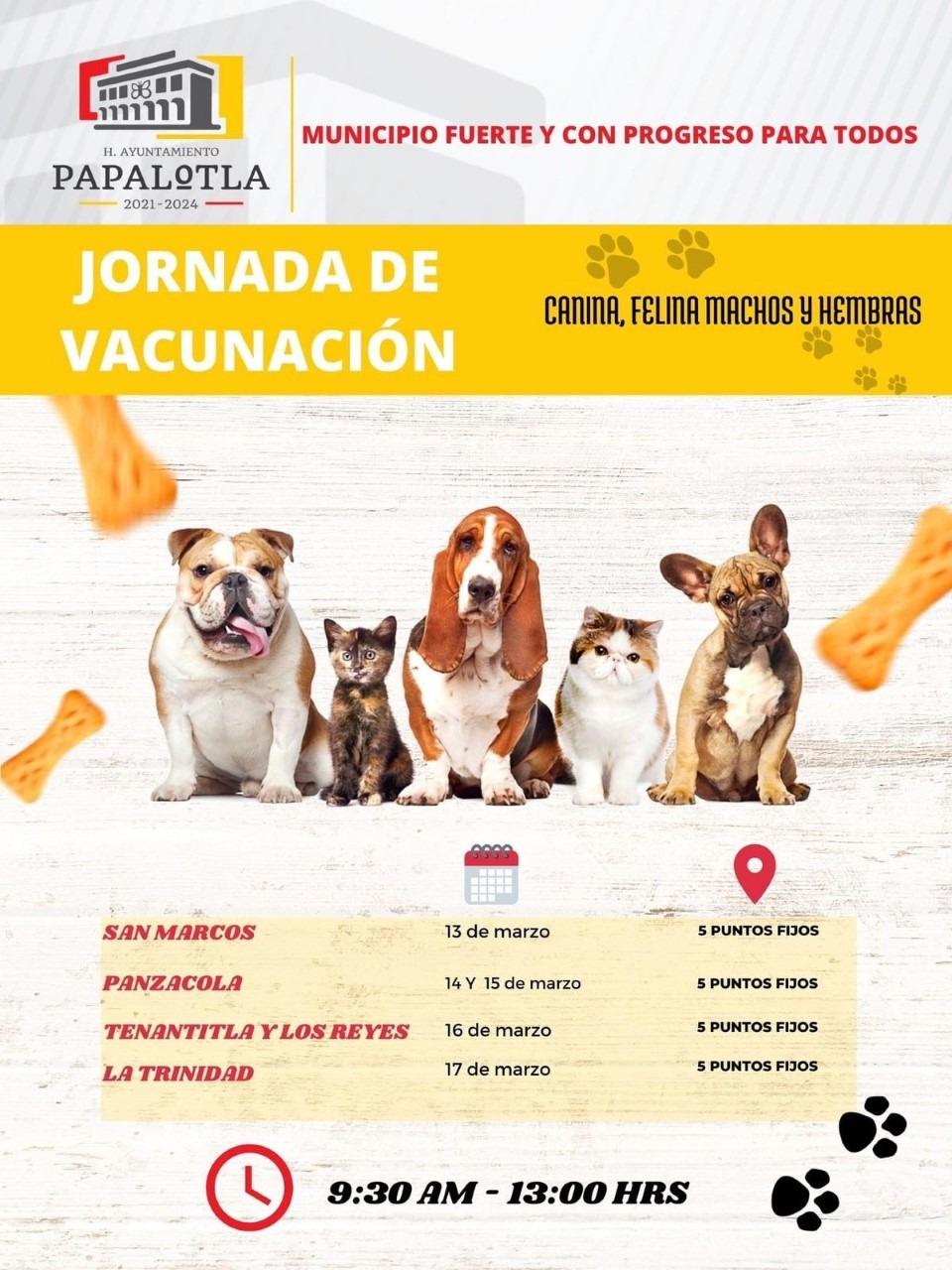 El gobierno de Papalotla da a conocer el calendario de vacunación antirrábica