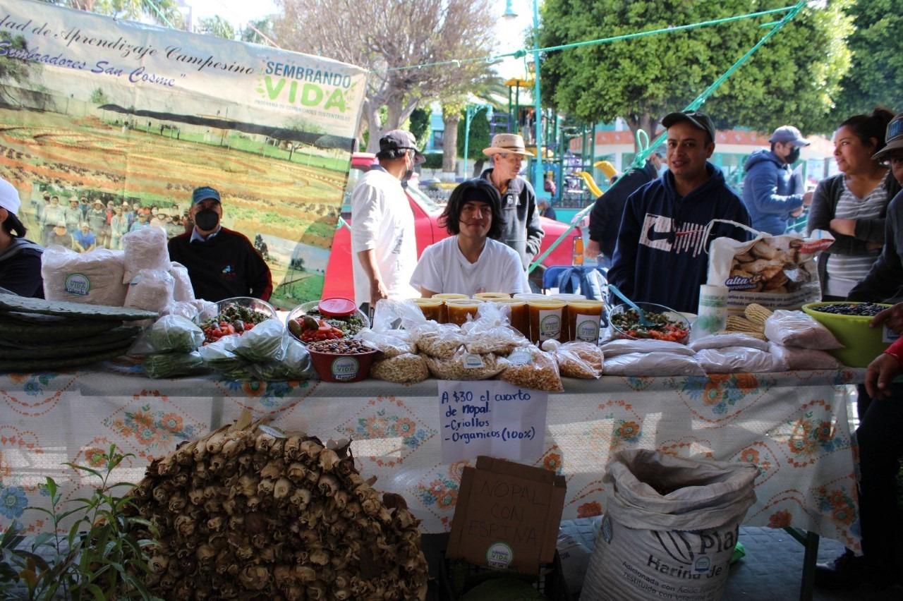 Instalan tianguis campesino en San Pablo del Monte
