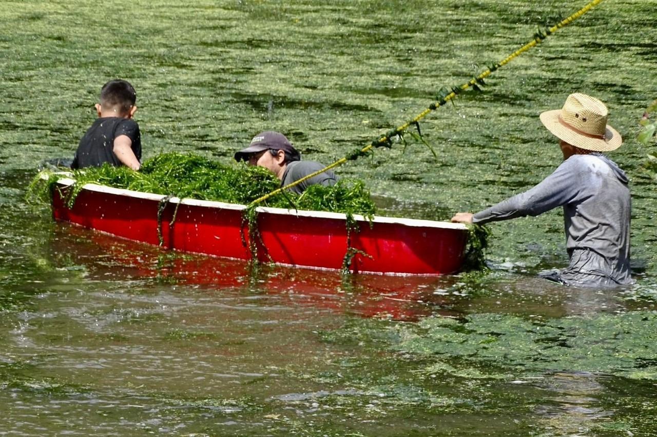 Por el Día Mundial del Agua, encabeza Barroso jornada de limpieza en Lago del Niño