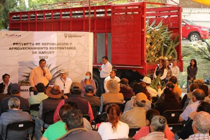 Entrega SIA más de 38 mil plantas de maguey a población productora