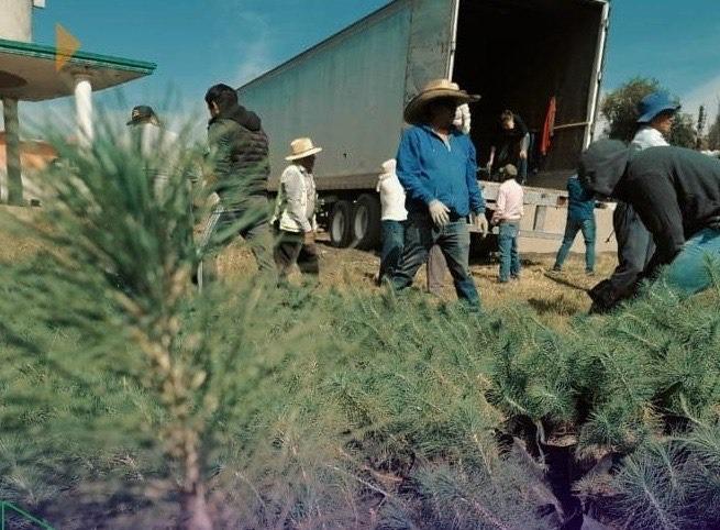 Pablo Angulo le apuesta a la reforestación para mejorar el aire en Tetlatlahuca 