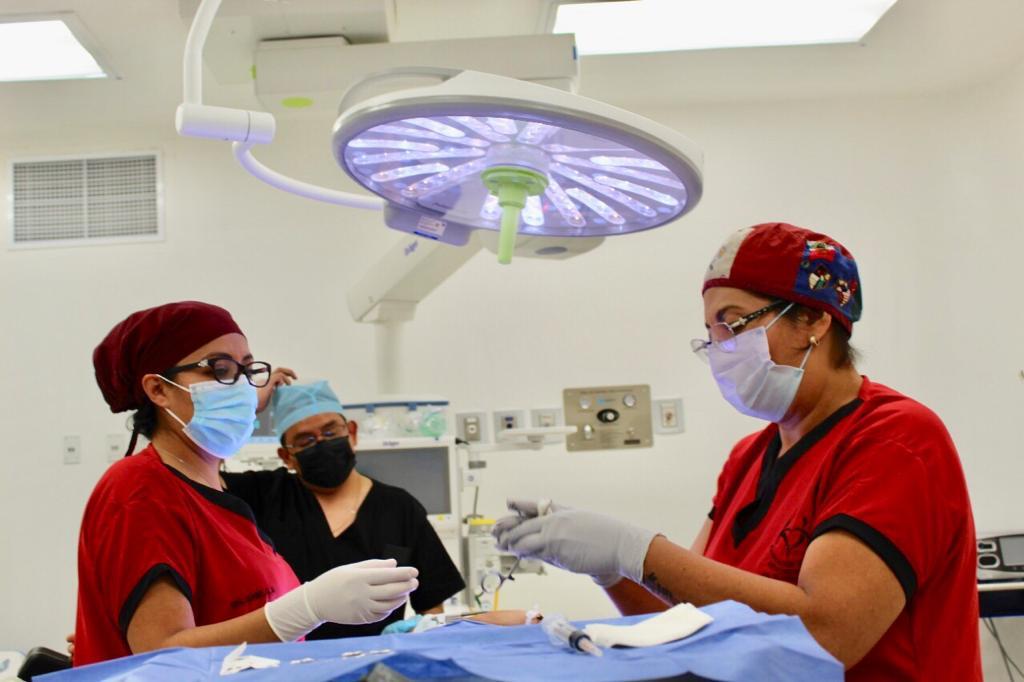 Ofrecerán unidades de salud de Apizaco y Tlaxcala vasectomías gratuitas sin bisturí