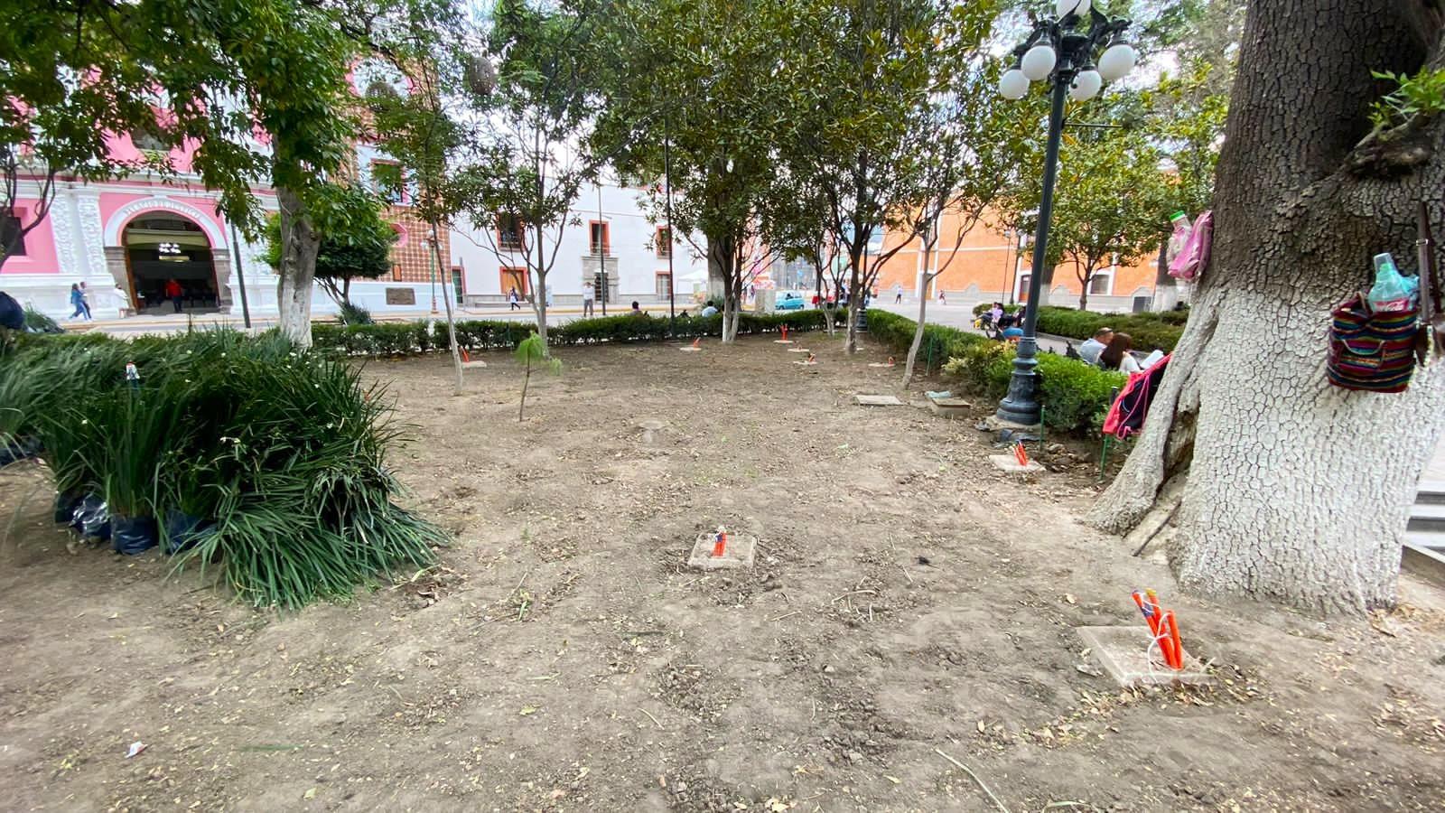 Inicia rehabilitación de áreas verdes de la plaza de la constitución