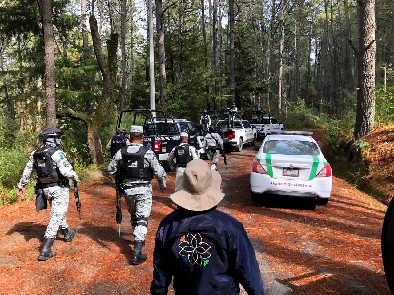 Tlaxcala avanza en combate contra la tala clandestina