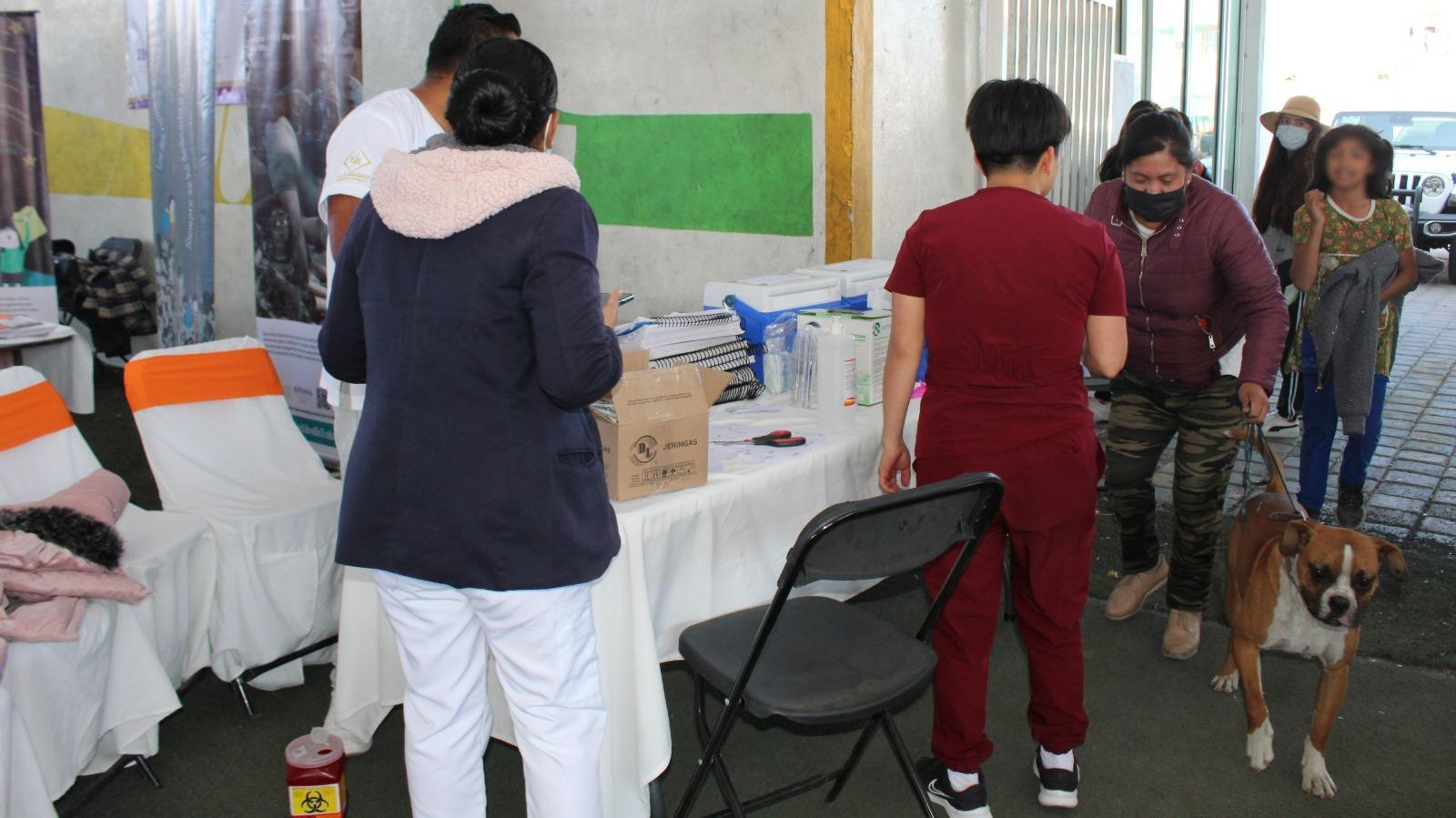 Inició en Tlaxcala la jornada nacional de vacunación antirrábica canina y felina 2023