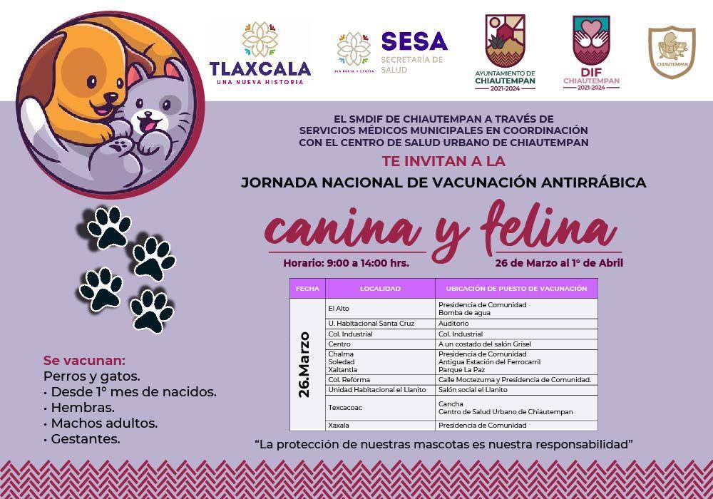 Invita Ayuntamiento de Chiautempan a Jornada de vacunación canina y felina