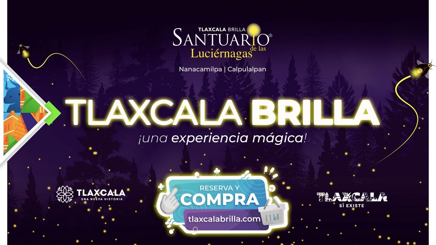 Anuncian temporada de luciérnagas 2023 “Tlaxcala Brilla”