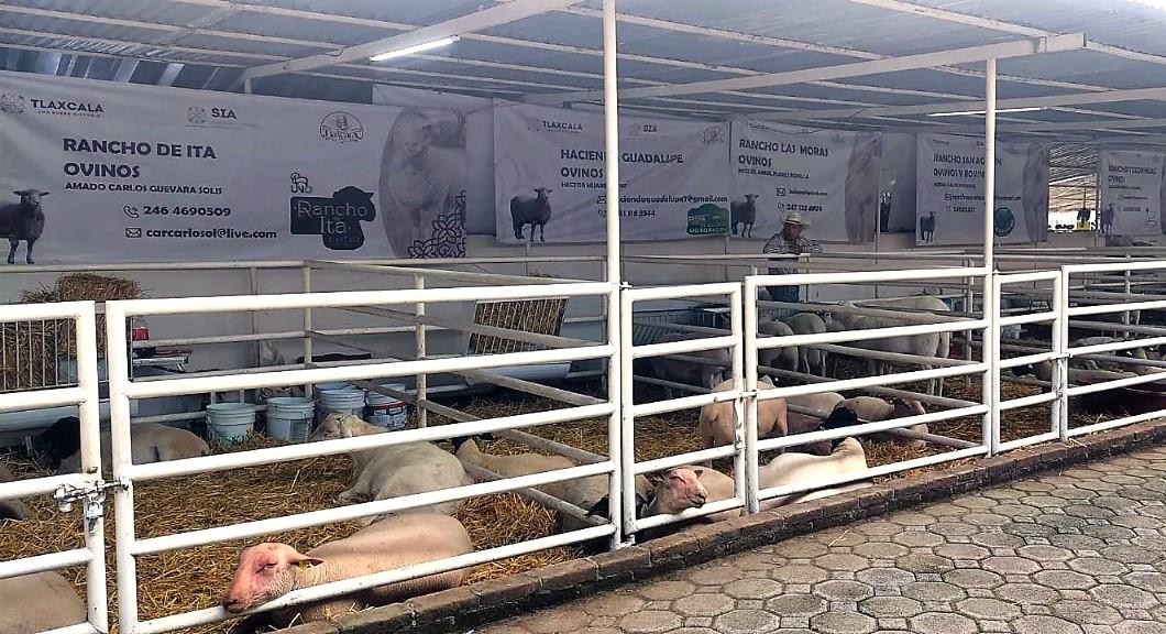 Inauguró Gobernadora Expo Ganadera en la “Gran Feria Tlaxcala 2022”