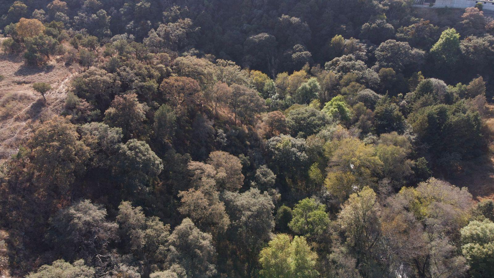Vista aérea de la cascada de Atlihuetzía