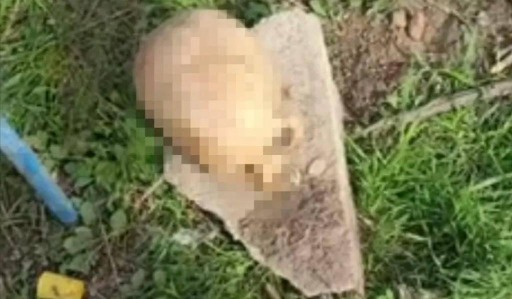 Sujeto localiza un craneo en Zitlaltepec mientras orinaba
