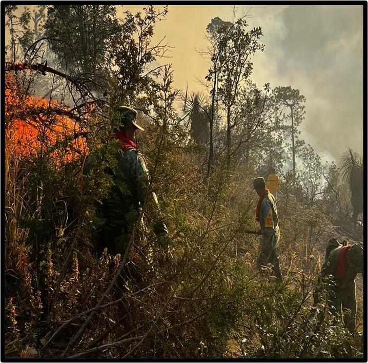 Autoridades combaten incendio forestal en Tlaxco
