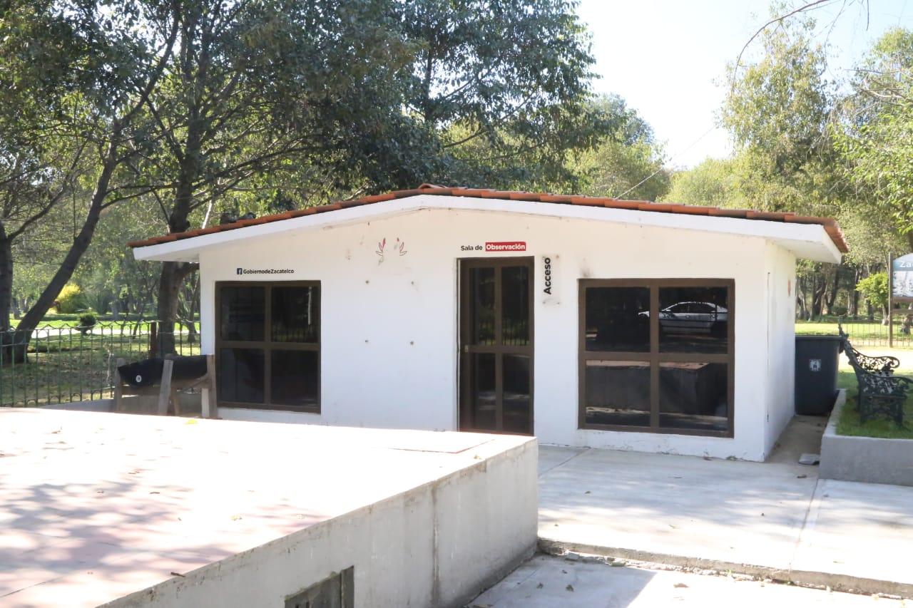 Abandonan "santuario" del ajolote en Zacatelco 
