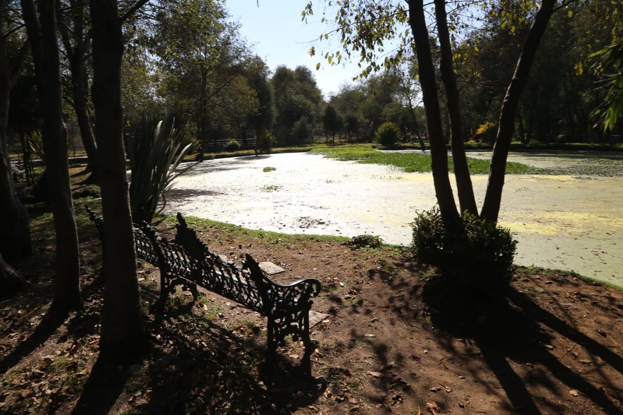 Abandonan "santuario" del ajolote en Zacatelco 