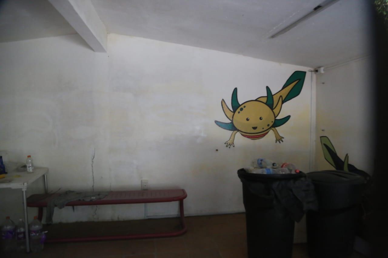 Abandonan "santuario" del ajolote en Zacatelco 