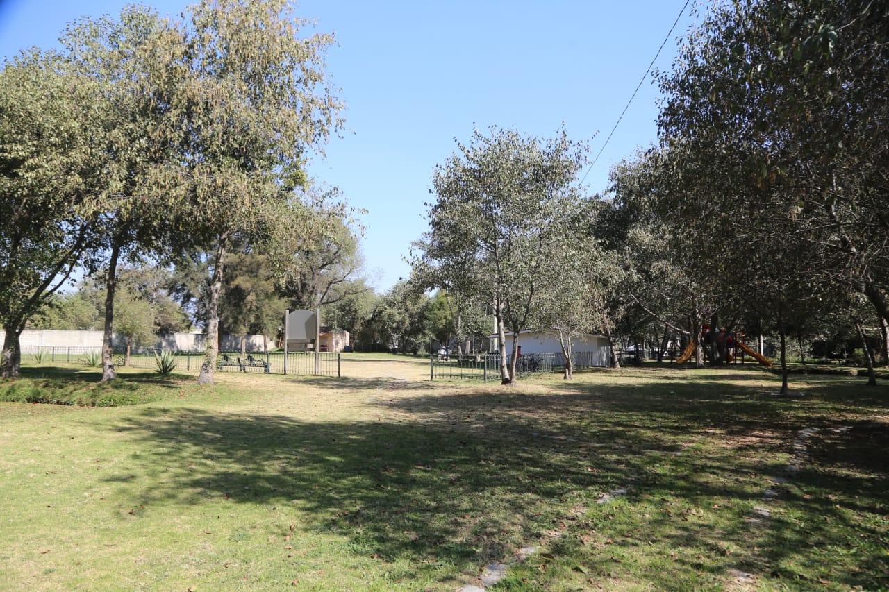 Abandonan "santuario" del ajolote en Zacatelco 