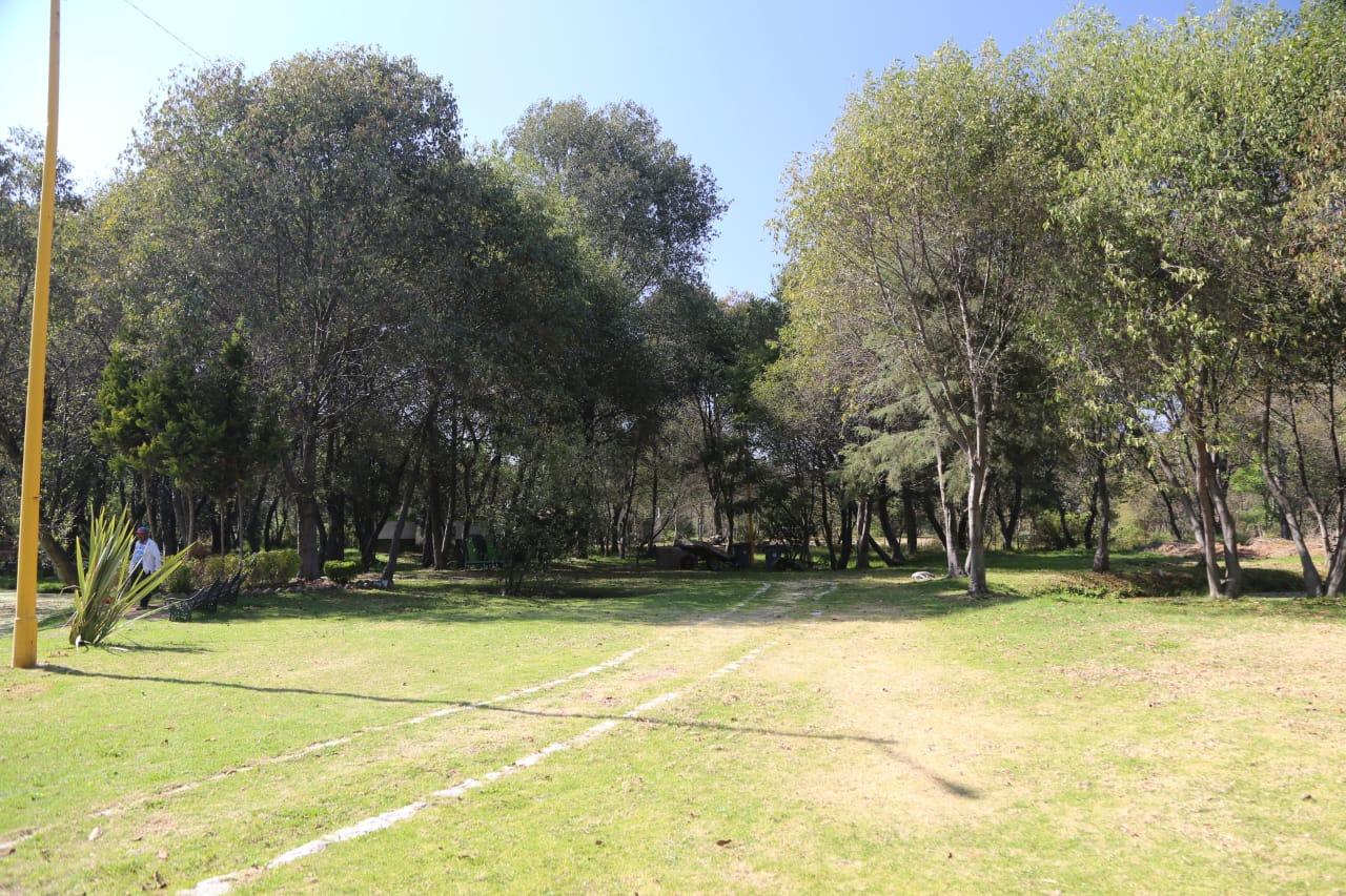 Abandonan "santuario" del ajolote en Zacatelco 