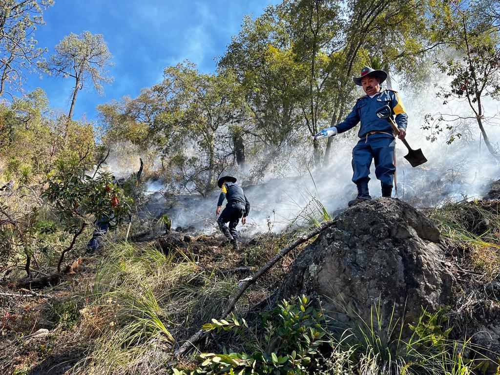 Incendio forestal en Tlaxco, controlado en un 85 por ciento: SMA