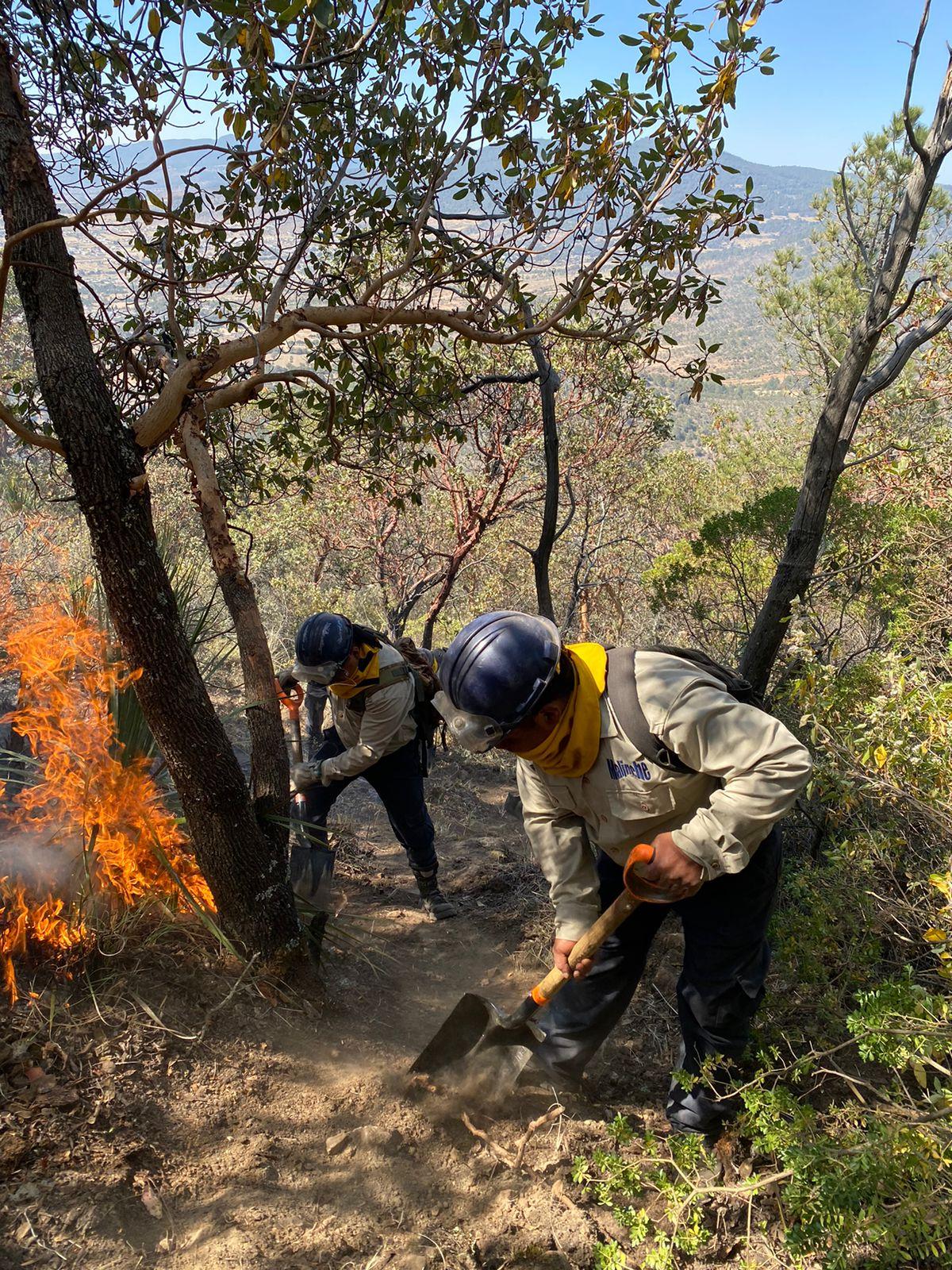 Incendio forestal en Tlaxco, controlado en un 85 por ciento: SMA