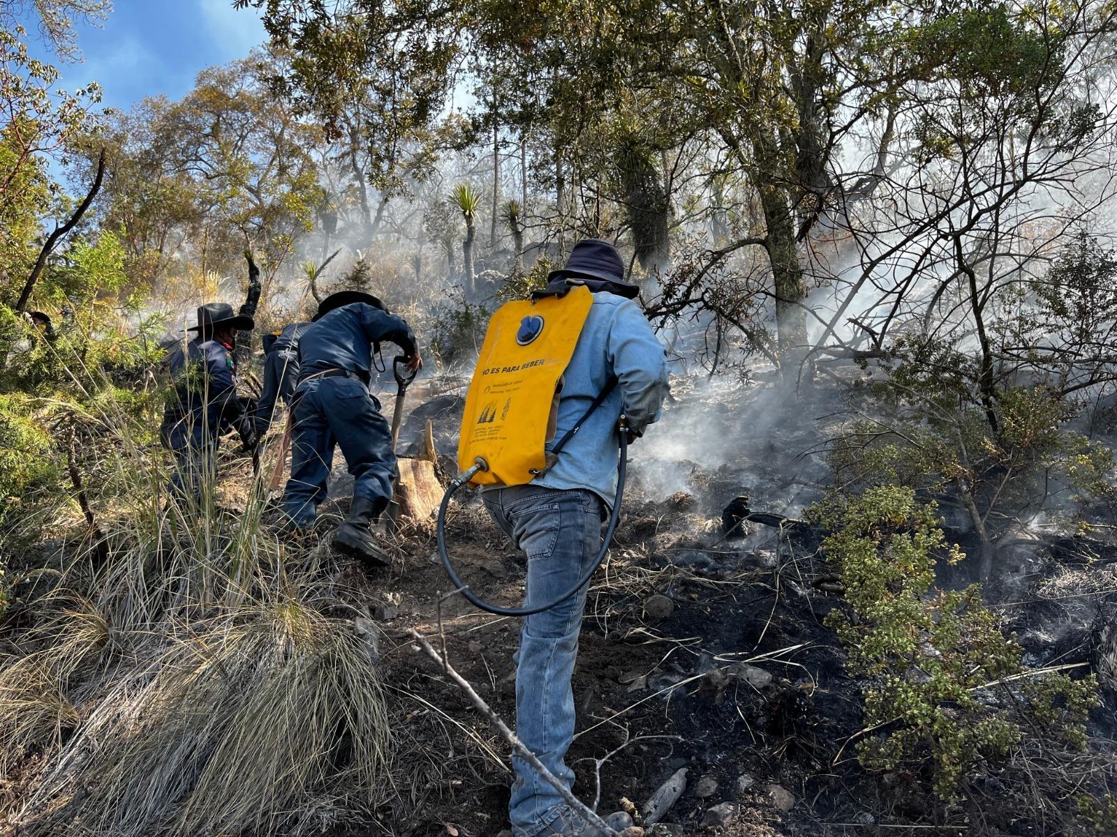 Incendio forestal en Tlaxco, controlado en un 85 por ciento: SMA
